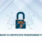 What is Certificate Transparency Logs?
