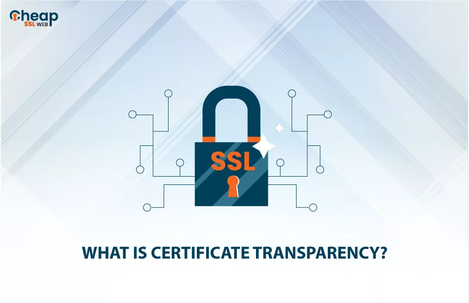 What is Certificate Transparency Logs?