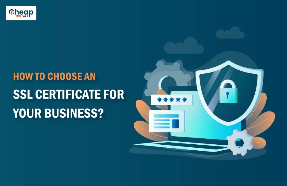 Choose an SSL Certificate for Business