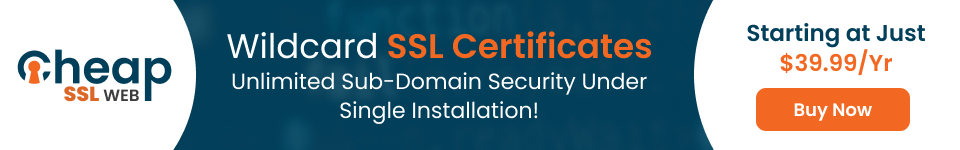 Wildcard SSL Certificates