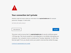 your connection isn't private