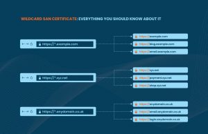 What Is A Wildcard SAN Certificate And How Does It Works?