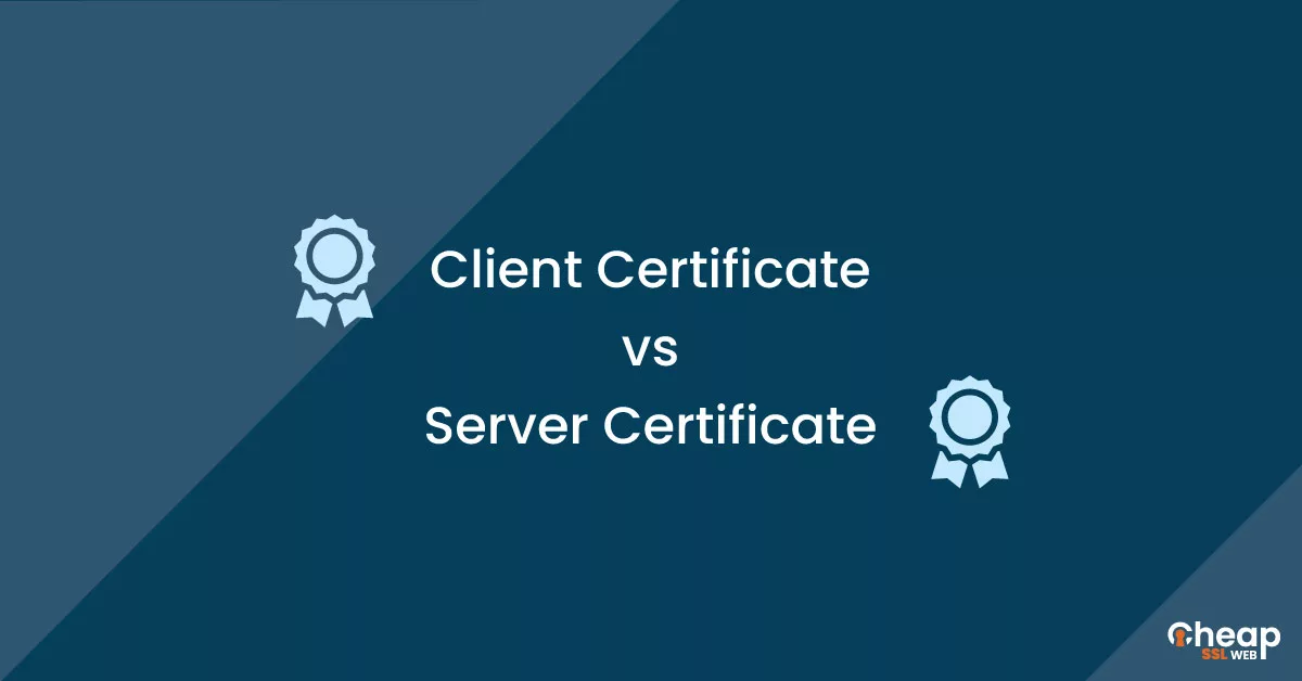 Client vs Server Certificate
