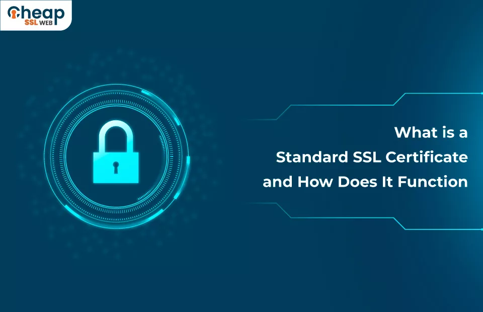What is a Standard SSL Certificate?