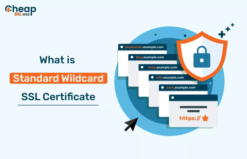 What is Standard Wildcard SSL certificate?