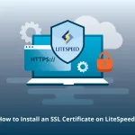 How to Install SSL on LiteSpeed Server