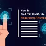 Find SSL Certificate Fingerprint
