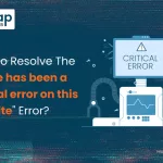 Critical Error on a Website