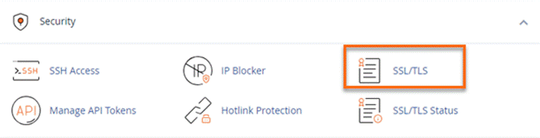 SSL/TLS Security Manager