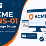 Wildcard Certificate DNS-01 Setup Guide